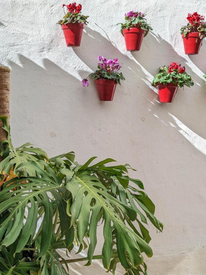 Harbor Getaway In The Heart Of Puerto Banus With Walking Dictance To Everything Marbella Bagian luar foto